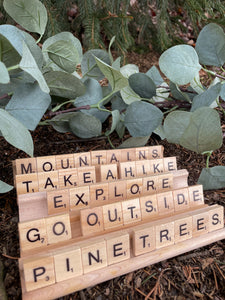 Nature Scrabble Display
